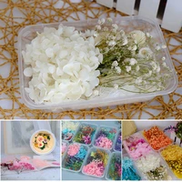 preserved flower material pack pressed flower mixed dried flower material diy art floral decors collection gift craft decoration