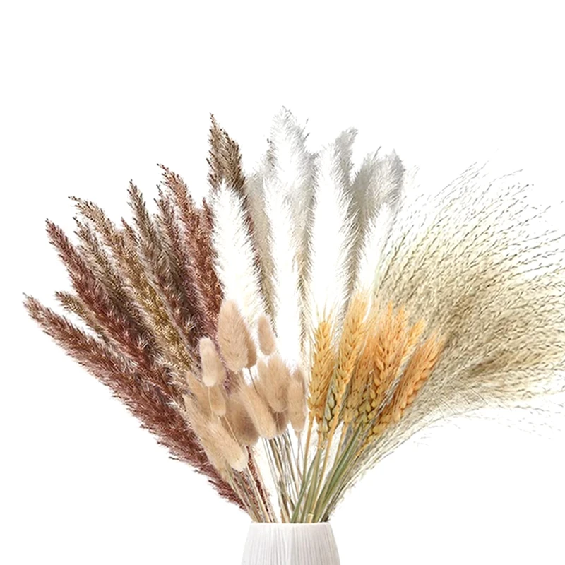 

70 Pieces Pampas Grass Dried Pampas Grass Decoration Natural Dried Pampas Grass Dried Flowers Plants Dried Flowers