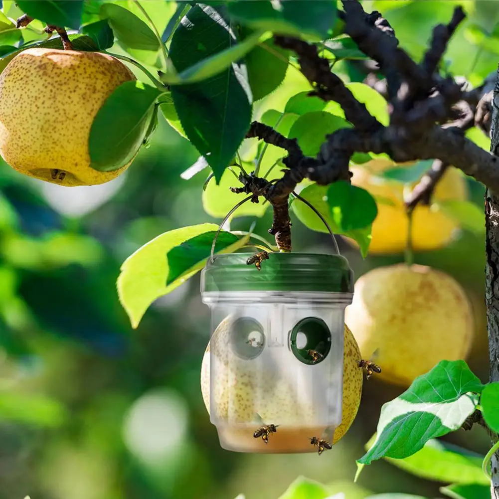 

Фотоловушка, оригинальная фотография, Фотографическая фотоловушка