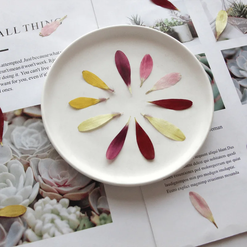 60 шт. Цветочный лепесток