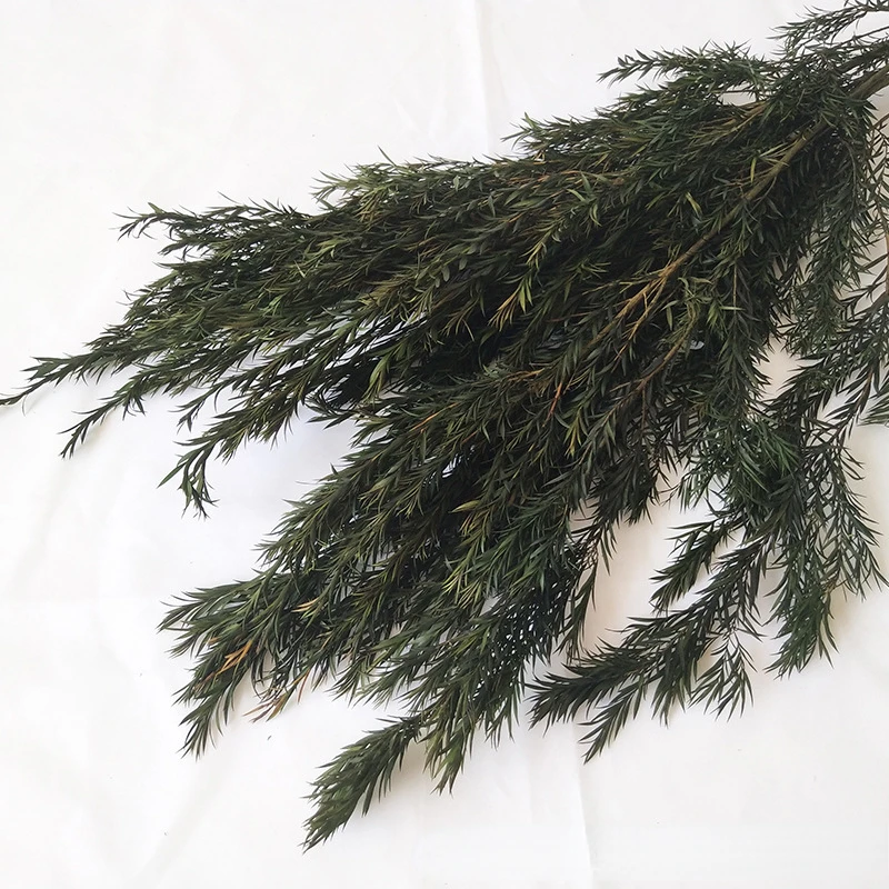 

1 bouquet thousand story gold dried flowers,dining table decoration room decoration,living room decoration,wedding decoration