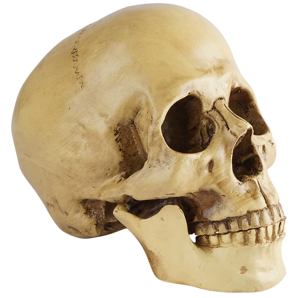 

Модель человеческой статуи Хэллоуин, реквизит для декора, Настольная анатомическая статуя, ортопедический подарок для вечевечерние