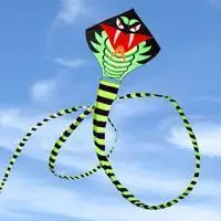 

Змеиный змеевик-змея, игрушечный змеевик с ручкой, для улицы, для взрослых, для походов, для весны и осени, 30/16/11 м