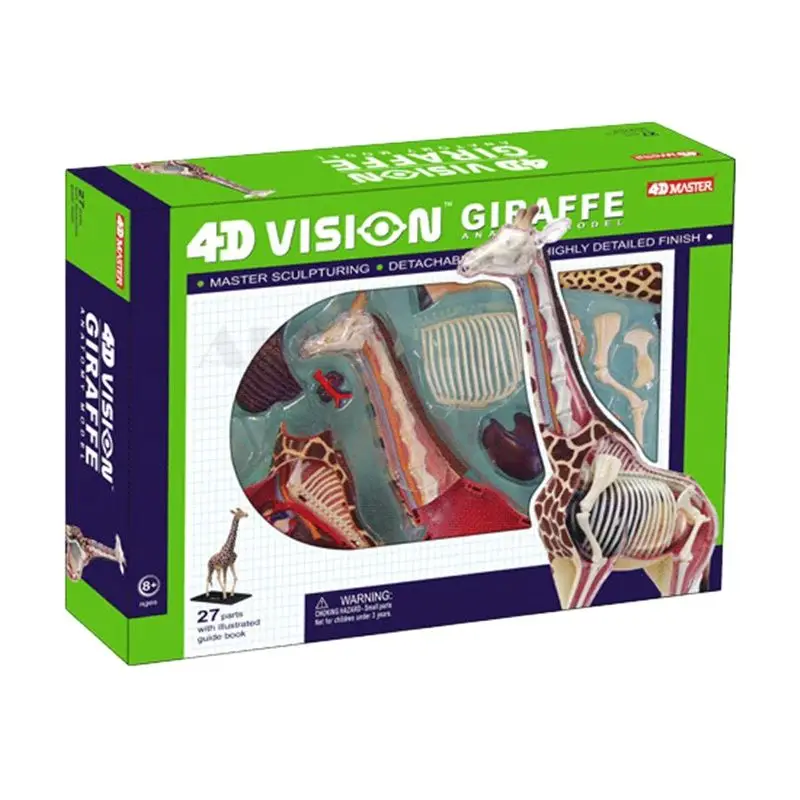 

4D MASTER Authentic educational toys 4d master animal models assembled model Giraffe Anatomy