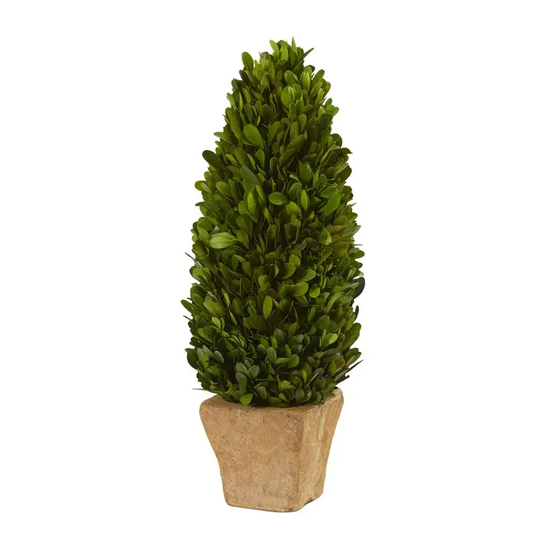 

16" Artificial Boxwood Cone Preserved Plant in Planter, Green
