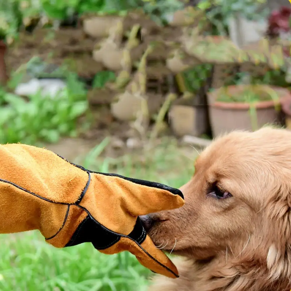 

Cowhide Pet Gloves Super Soft Cotton Lining Anti-scratch Anti-bite Thickened Bath Protective Gloves