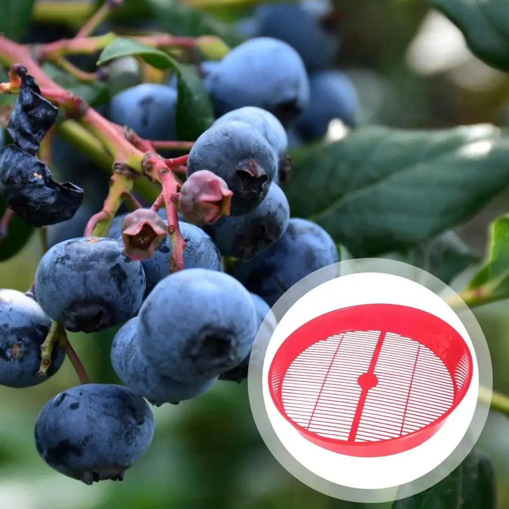 Кухонный лоток универсальный сито дуршлаг эффективная сливная корзина для мытья