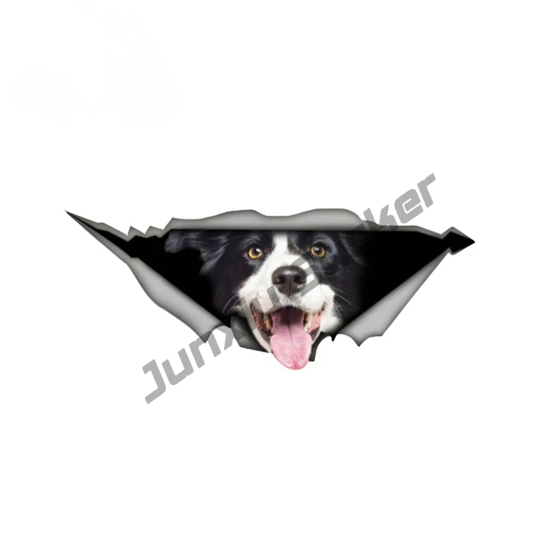 

Border Collie Car Sticker Funny Pet Dog Decal Window Trunk Waterproof Animal Sticker Styling Vinyl Decal Decoration PVC15x6cm