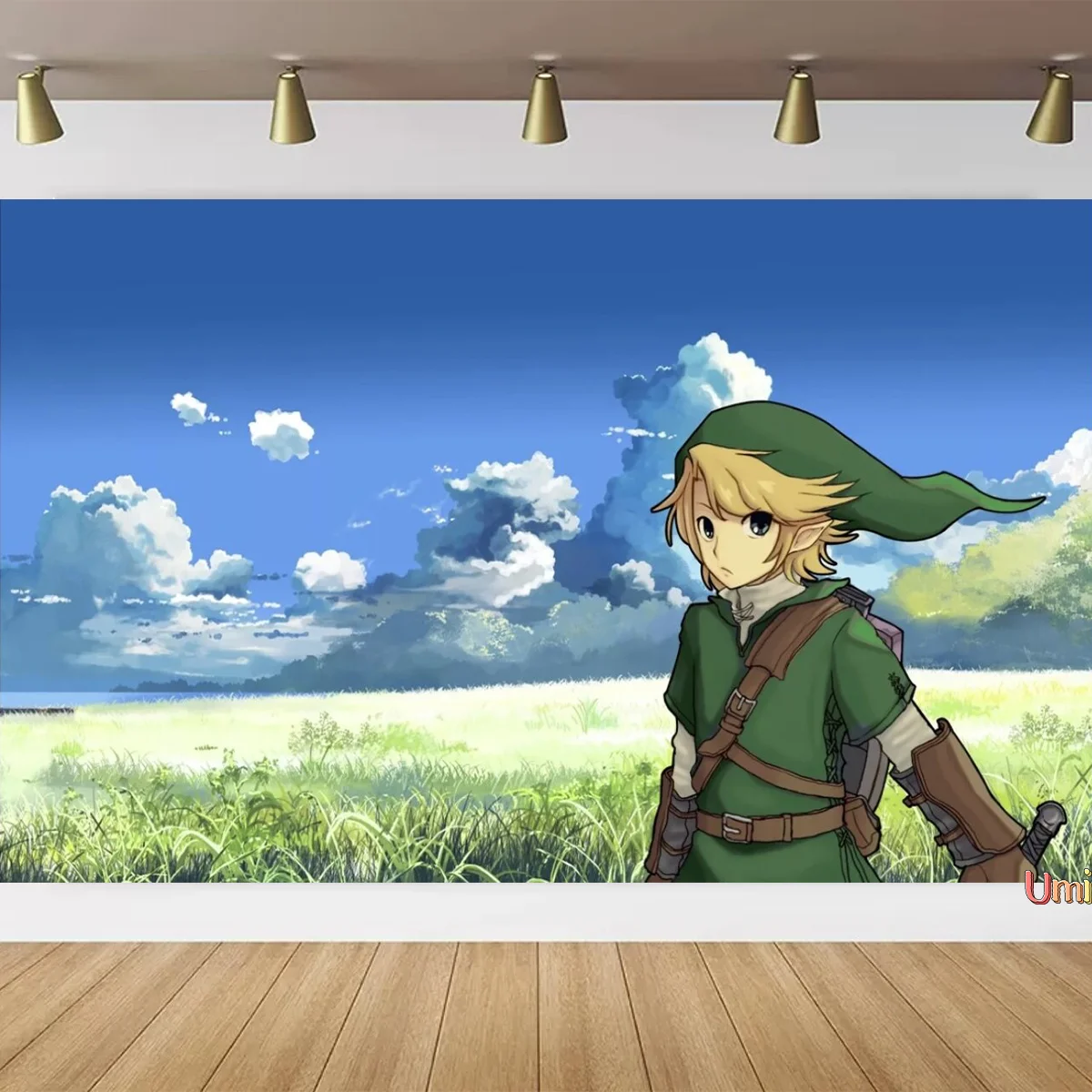 Umi мультфильм игра Приключения фон Зельда искусственная украшение фотостудия