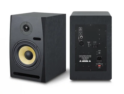 Rayco Профессиональный динамический микрофон XLR USB