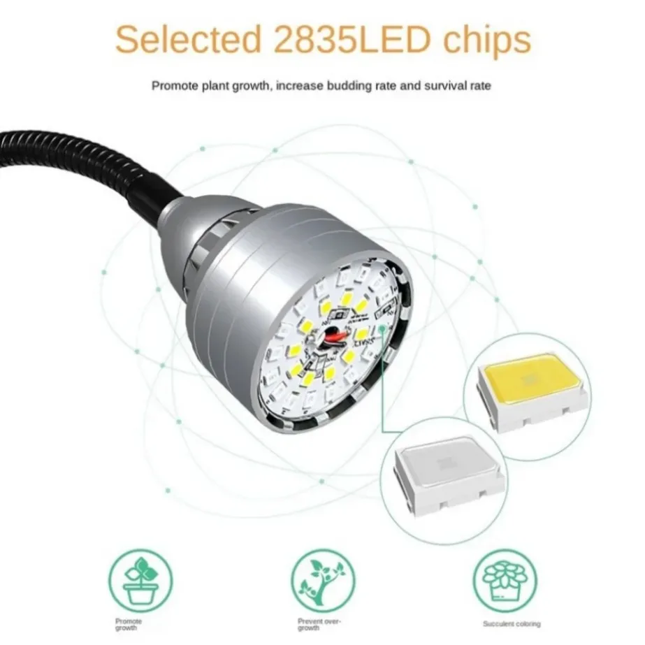 Рисунок 4 - Фотолюминесцентные фитолампы с полным спектром