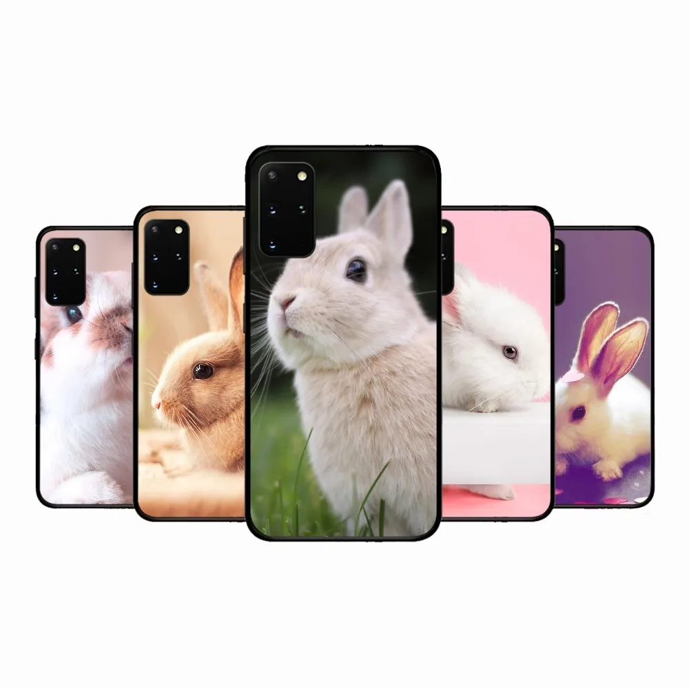 

Cute Bunny Rabbit Phone Case For Samsung S 9 10 20 21 22 23 30 23plus lite Ultra FE S10lite Fundas
