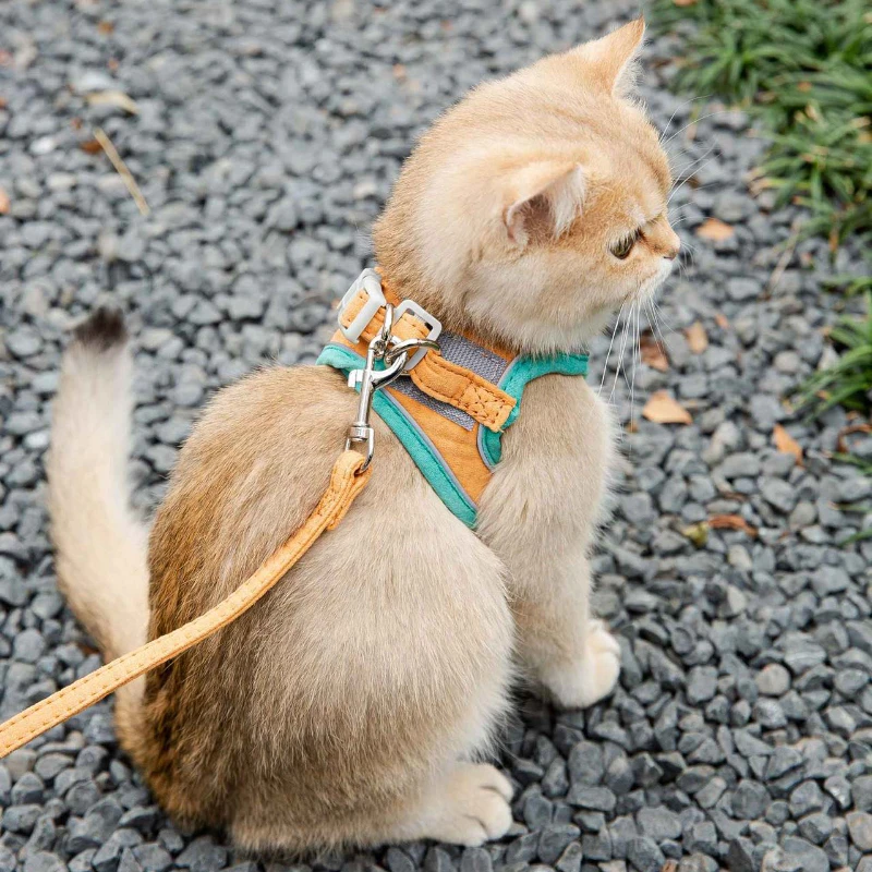 Cat Harness Reflective Adjustable Leash Collar for Dog Harness Cat Belt Free Shipping Cute Cat Supplies Kitten Accessories