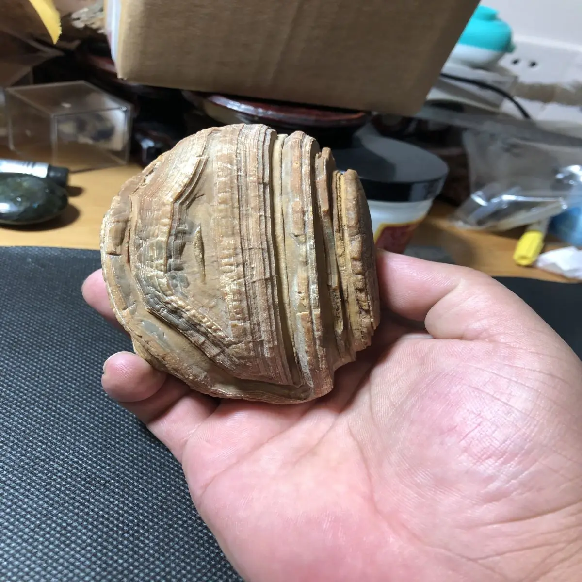 1Pcs Natural Crystal Raw Stone Boutique Agate Water Flush Stone Naturally Formed Decorative Pieces