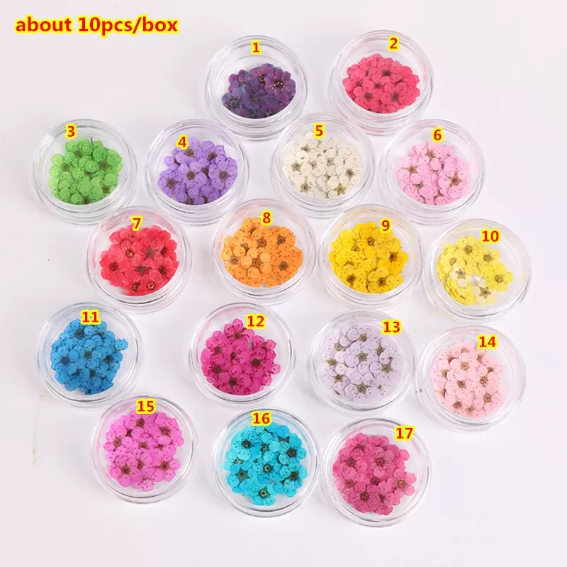 

Wholesale 1 Bottles/17 Colors 3D Decoration Real Dry Dried Flower for UV Gel Acrylic Nail Art Tips