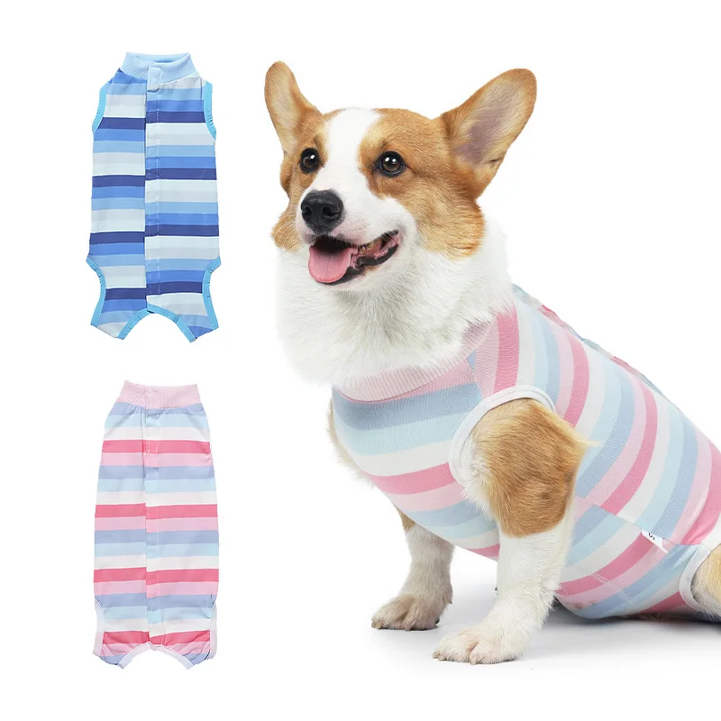 

3-в-1 Функциональная одежда для собак, влагостойкая дышащая одежда для домашних животных, удобная и легкая в носке для маленьких домашних животных, отлучение