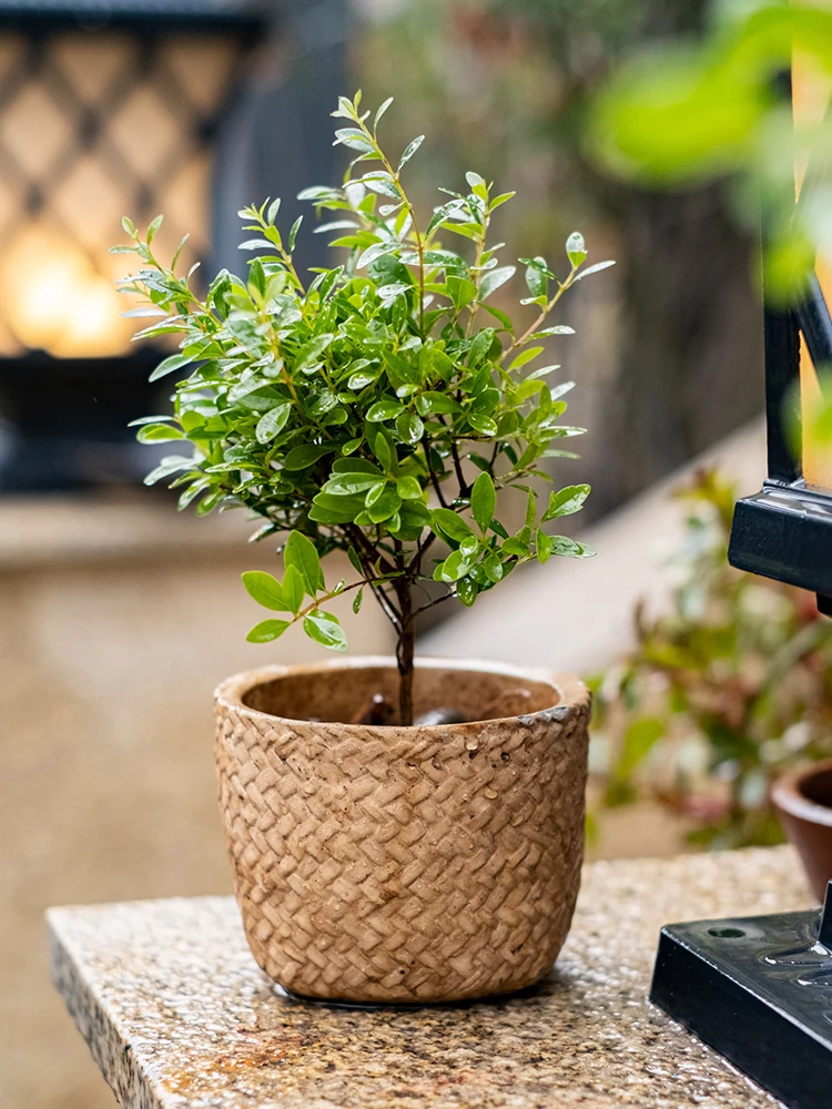 Cement Flower Pots For Indoor Planters Retro Style Succulent Flowerpots Brown Color Home Garden Decoration Deaktop Ornaments