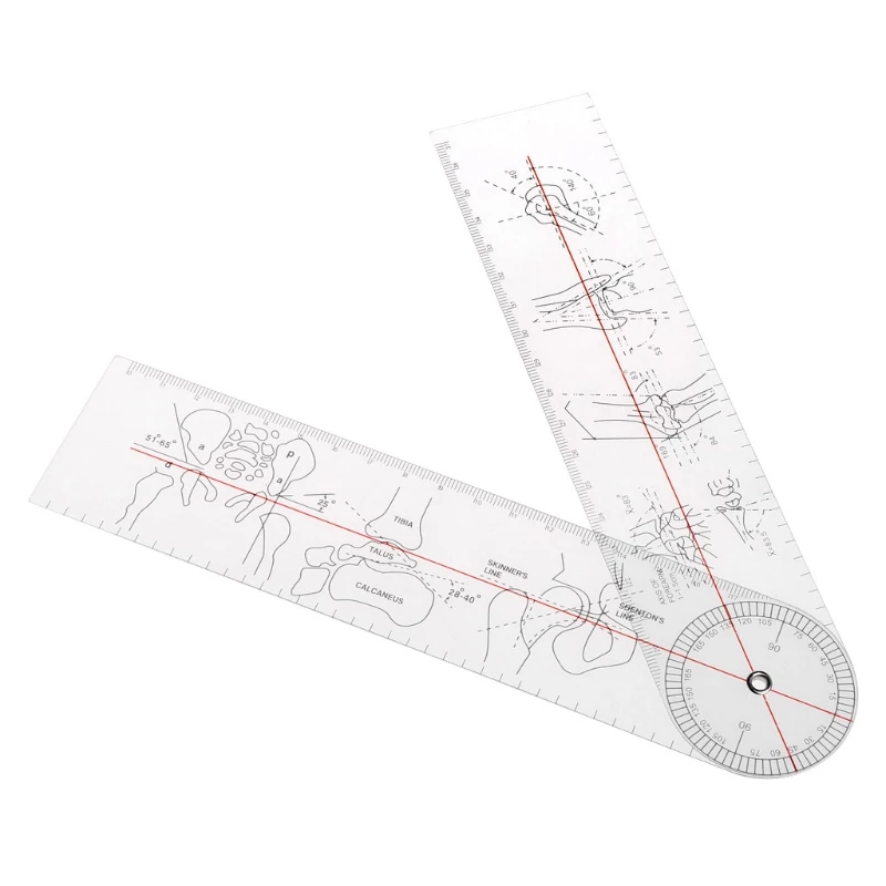

DONG Professional Portable Orthopedic Medical Measuring Ruler