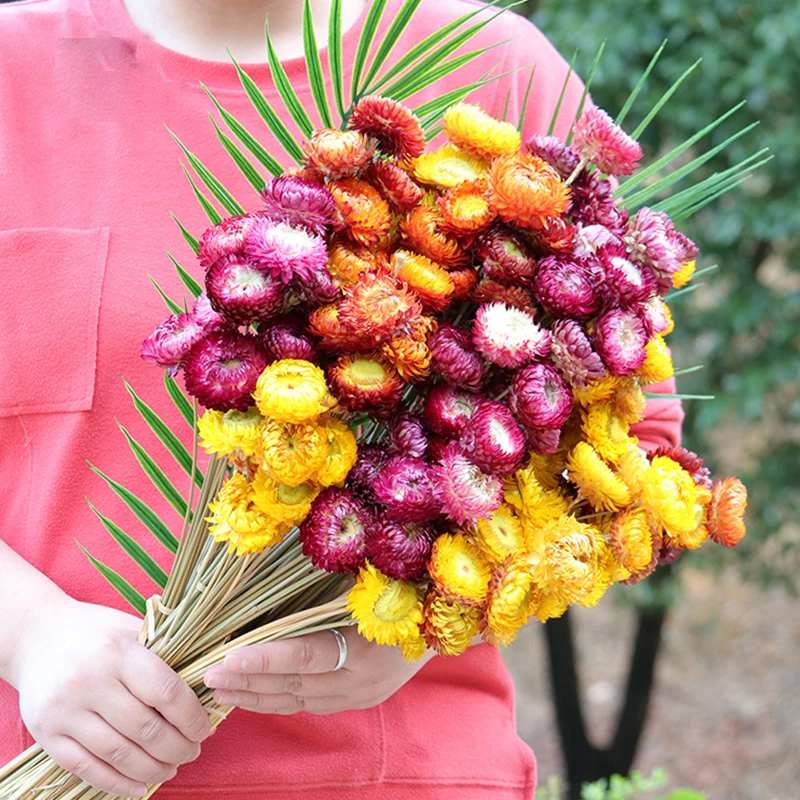 

10/Pcs Natural Dried Straw Chrysanthemum Pineapple Chrysanthemum Preserved Flower Small Daisy Floral Wedding Party Decoration