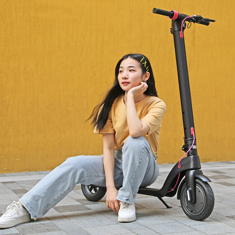 

350W Two Wheel Detachable Battery Electric Mobility Scooter