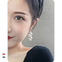 korean temperament long tassel pearl string earrings female ins tide light luxury super fairy earrings s925 silver needle