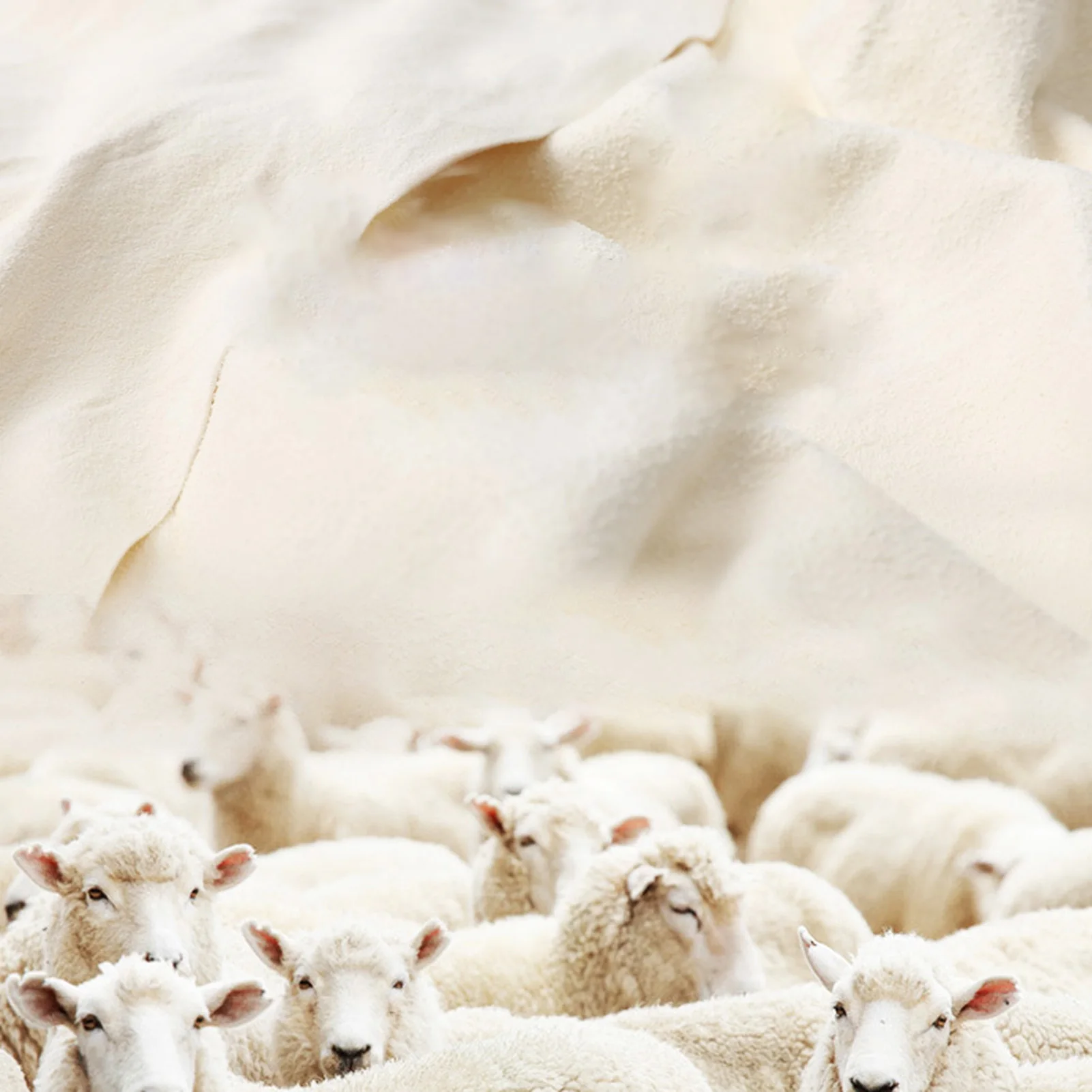 

Natural Chamois Free Shape Clean Genuine Leather Cloth Car Auto Home Motorcycle Wash Care Quick Dry Wash Towel Super Absorbent