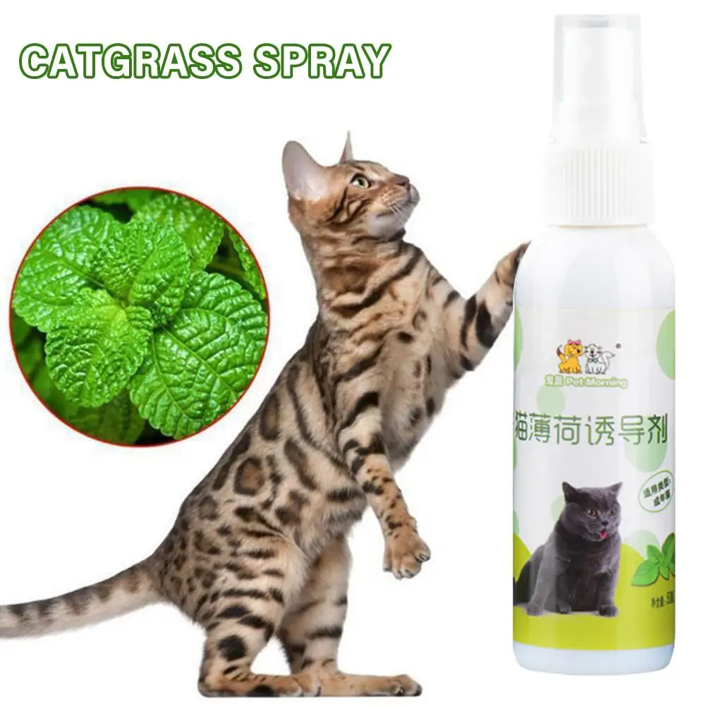 

1pcs 50ml Cat Catnip Spray Natural Healthy Safe Long-term Inducer Pet CatMint Scratching Cat Toy Training Pad Effect E5X7
