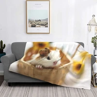 guinea pig pattern blanket flannel autumn and winter animal cute multifunctional super soft blanket sofa outdoor bedspread
