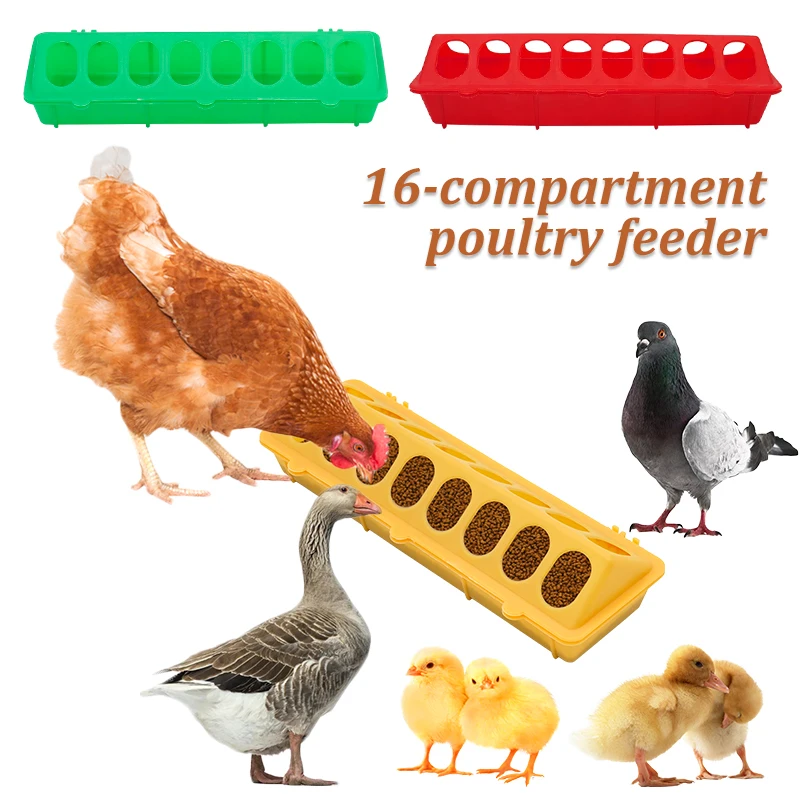 

Poultry Feeder Tool Feeder Flip-top Chicken Chicken Plastic 30cm Feeding Farming Ground Trough Bucket Quality Pheasant Chick