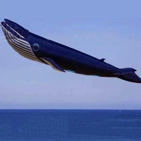 Бесплатная доставка, 17 м, воздушный змей в виде акулы, подвеска, развлекательный Спорт на открытом воздухе, парашют, фотозмей, колес