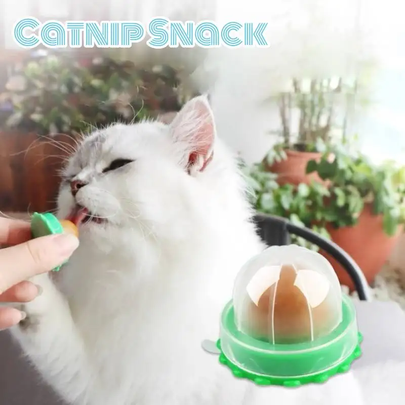 

Nutrition Cat Catnip Ball Dust Cover Round Safe Catnip Snack Lick Candy Vitamin Pudding Catnip Lollipop For Cat Kitten Ragdoll