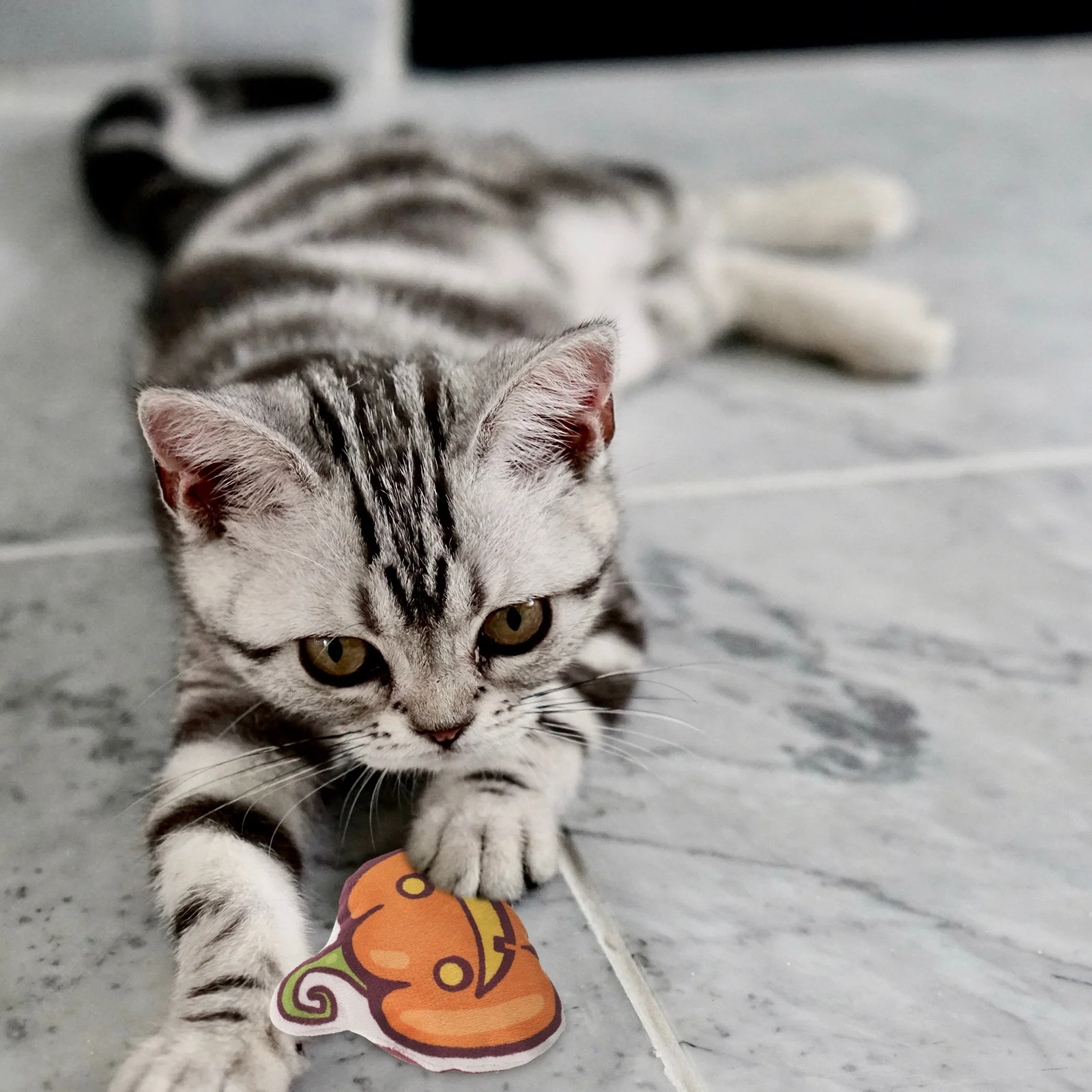 

Pet Plush Cat Toy Biting Toys Chewing For Cats Halloween Stuffed Pumpkin Plaything Interactive Self-playing Catnip