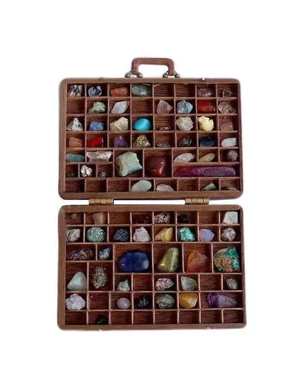 

Rock Collection Box Rock Organizer Rock Mineral Collection Activity Kit Arts And Crafts Rock And Mineral Kit