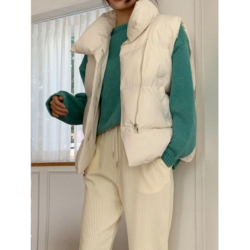 Шикарный Универсальный теплый пуховой жилет из Южной Кореи с воротником-стойкой