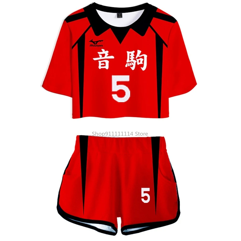 Haikyuu!! Hinata Shyouyou Nekoma High School Karasuno High School Shirt Shorts Cosplay Costume Sports Uniform Volleyball Gift images - 6