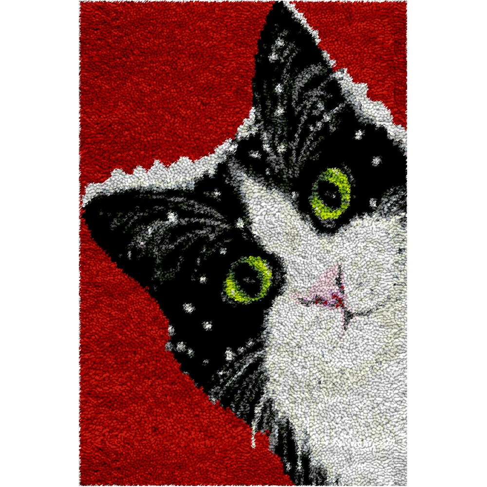 

Smyrna Latch Hook Rugs Kits for Adults Carpet embroidery with Pattern Printed Canvas Crochet carpet Bag making kit