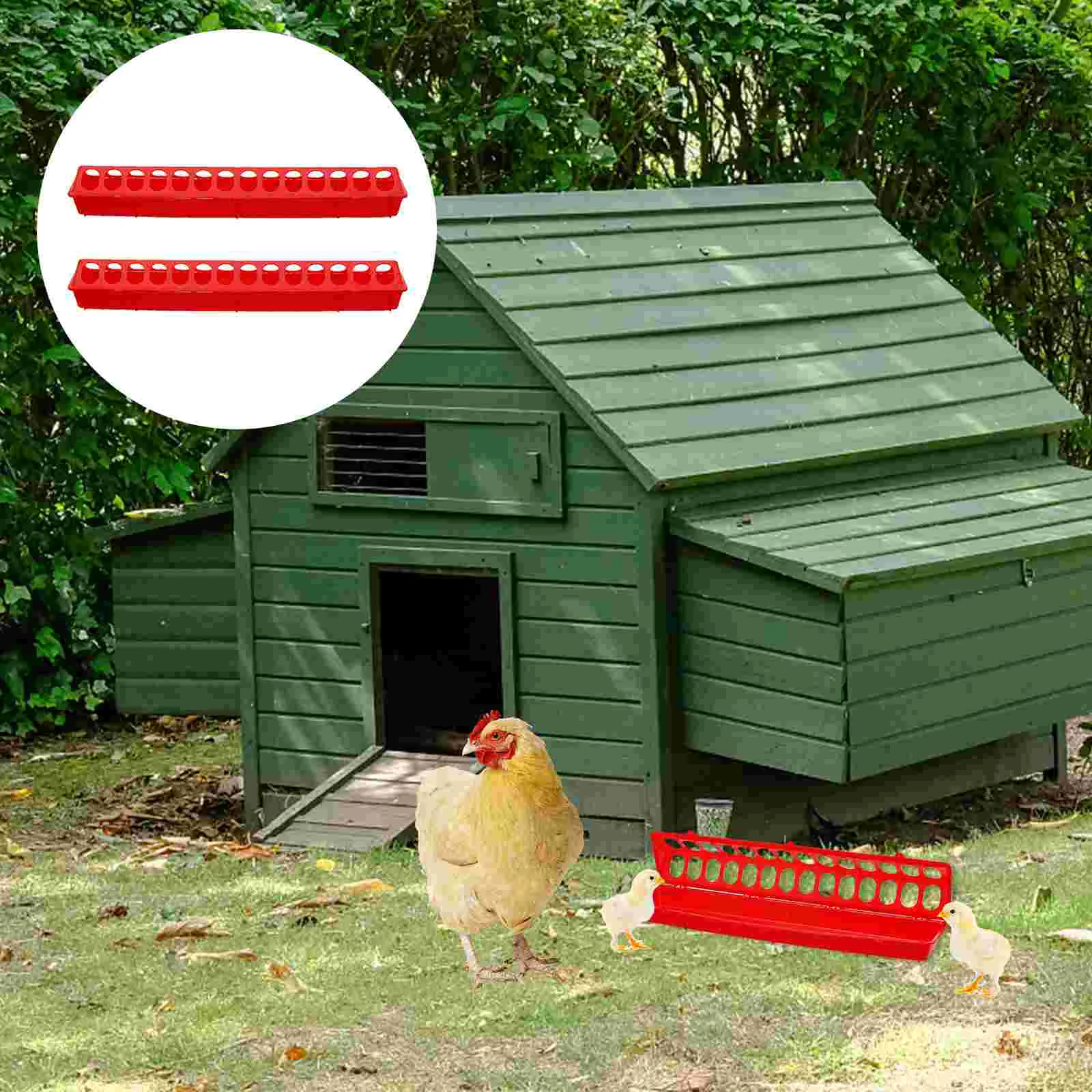 

Feeder Poultry Pigeon Bird Tray Chicken Chick Bowl Trough Slide Cage Feeding Hole Parrot Farm Drinker Feed Hen Feeders Supplies