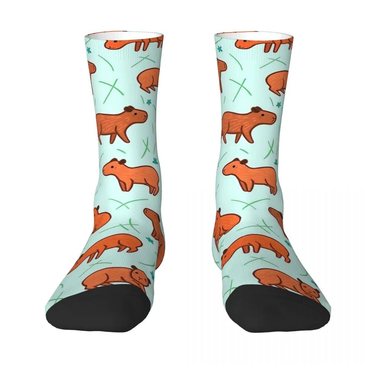 Capybara Pattern Adult Socks,Unisex socks,men Socks women Socks