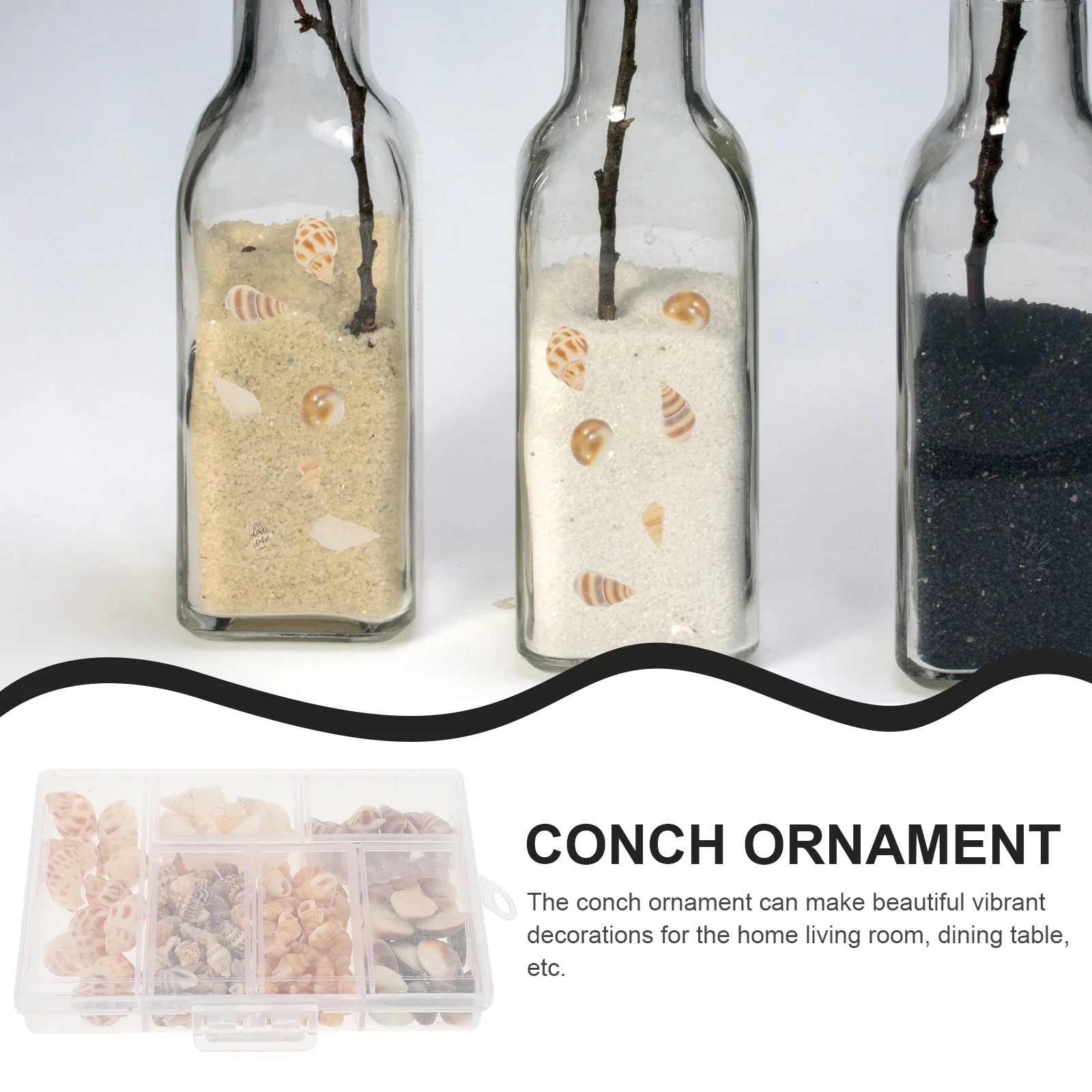 

1 Box of Small Shells Conch Natural Tiny Ocean Seashells for DIY Miniature Beach Conch Decor