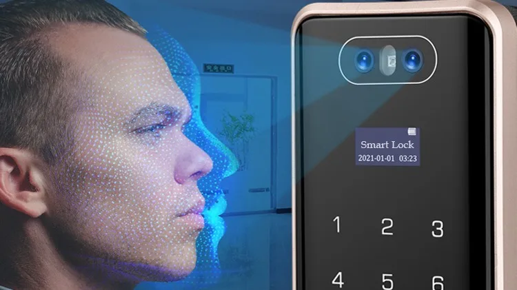 Tediton Anti-theft 3D Face Id Intelligent Glass Door Lock Smart Home APP Face Recognition Door Lock enlarge
