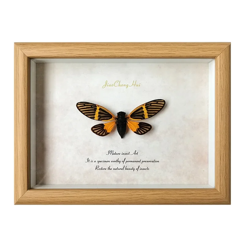Цветная Цикада знает рамку ретро-картина украшение для дома настенное
