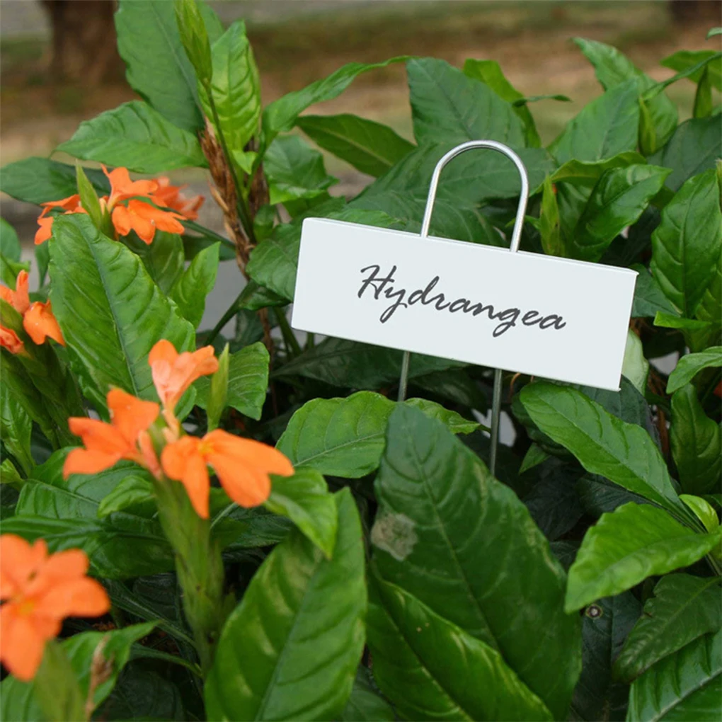 

25pcs set Eco-friendly Plant Markers Flowers Herbs And Vegetables Stainless Steel Materials