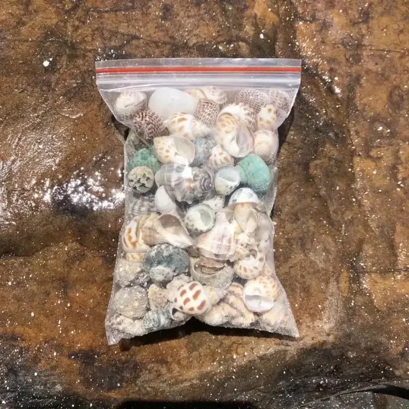 Пляжная раковина сменная краба Hermit аквариум с натуральными раковинами для