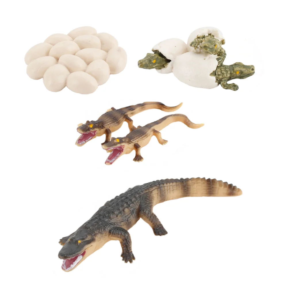 

Crocodile Growth Cycle Plaything Model Amphibian Educational Toy Children's Egg