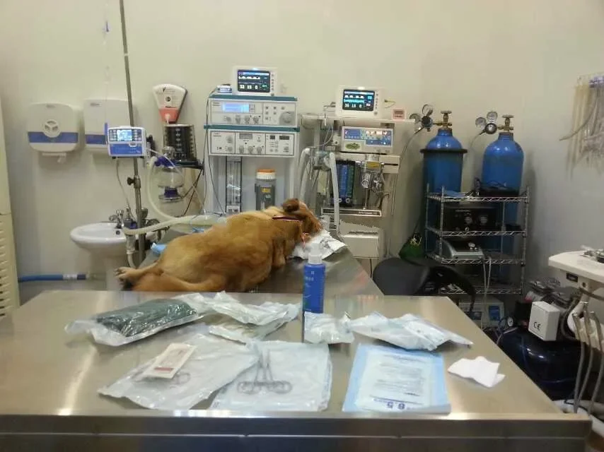 Насос In-fu-sion для Veterinary Vet in-fus-ion pump pet i-nfus-ion