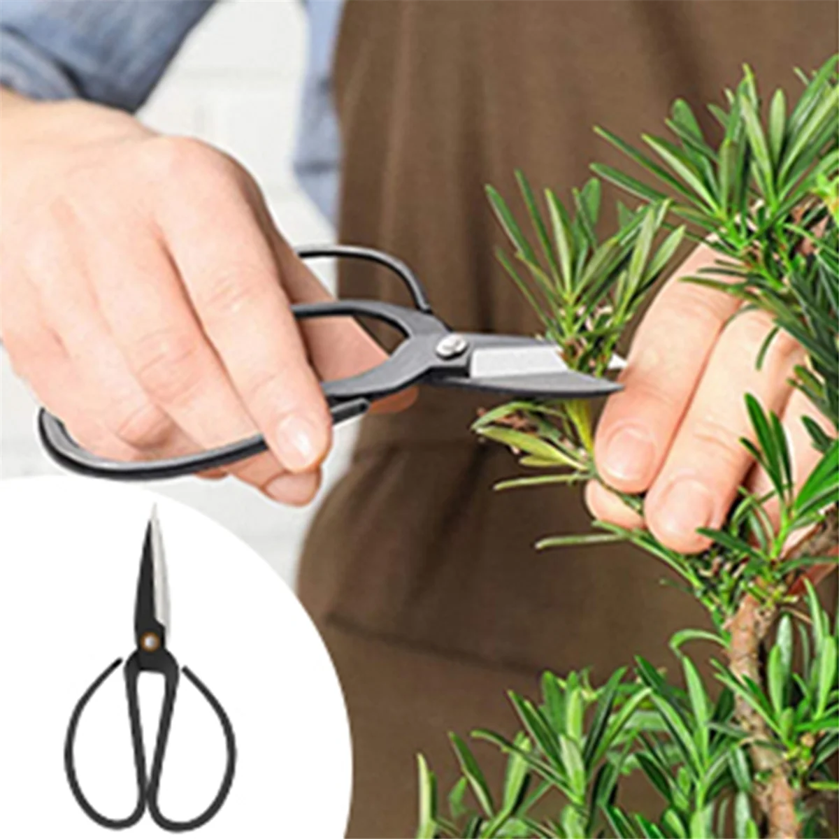 Набор инструментов бонсай из 24 предметов техническое обслуживание в форме