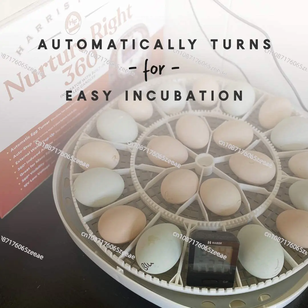 Инкубатор для яиц Manna Pro инкубатор цыплят вмещает 22 яйца