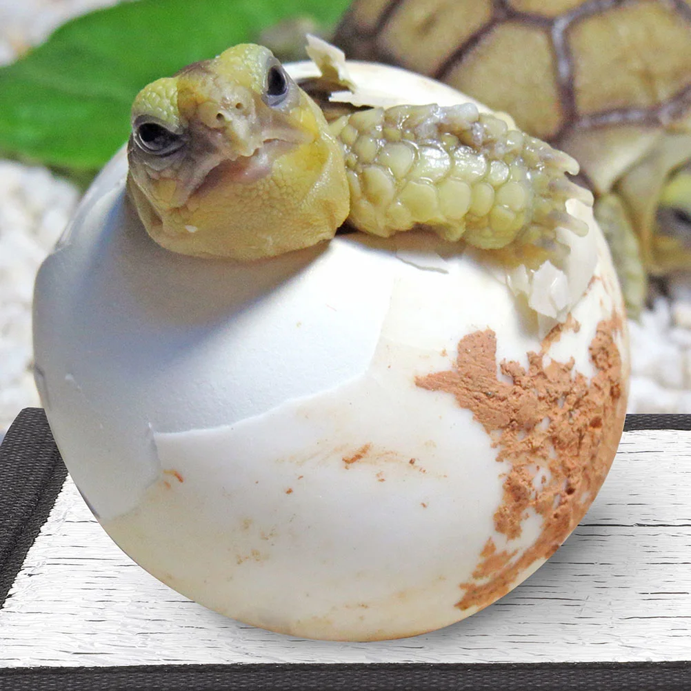 4 шт. аксессуары для черепах грелка коврик животных рептилий под изоляционный бак