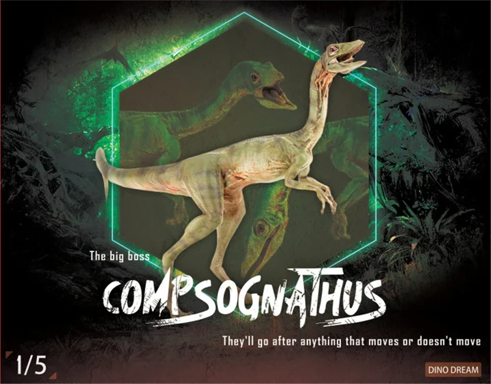 Фото DINO DREAM 1:5 Женский Compsognathus Coelophysidae Коллекция моделей динозавров Животное Взрослый подарок Украшение сцены №1