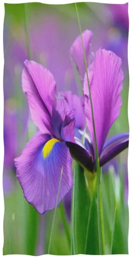 

Face Towel Violet Iris Flowers Field Purple Flower Spring Nature Floral Print Design Soft Bath Towel Absorbent Hand Towels Multi